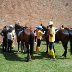 festa primo maggio asroo 03