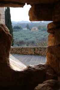 OU5A1937_zpstfwdasb8