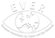 ever_logo