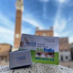 WhatsApp Image 2022-11-06 at 18.12.57 (1)