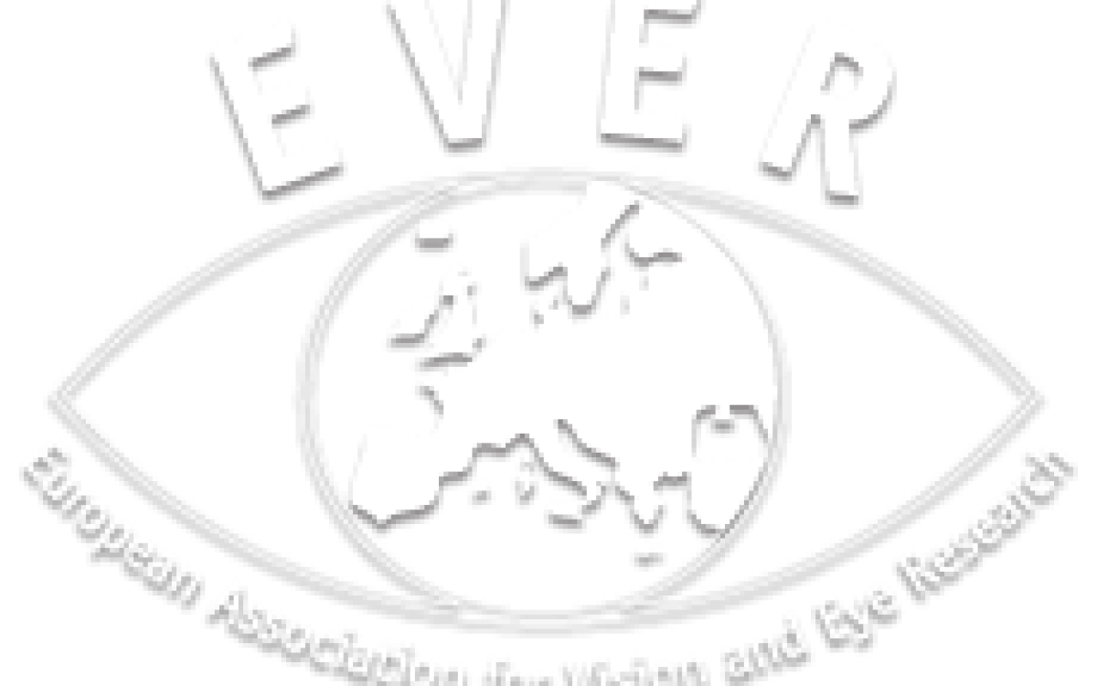 Il Gruppo di Ricerca di Siena a Ever Nizza